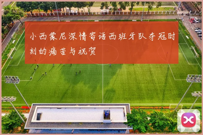 小西蒙尼深情寄语西班牙队夺冠时刻的痛苦与祝贺